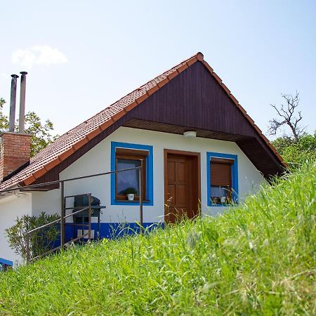 Apartmán Na vinařské stezce Velké Bílovice Exteriér fotografie