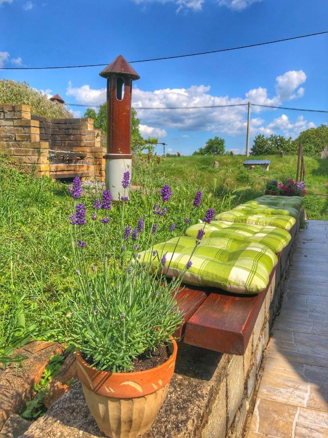 Apartmán Na vinařské stezce Velké Bílovice Exteriér fotografie